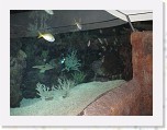 Dierentuin Burgers  Zoo 047 * 3648 x 2736 * (4.42MB)